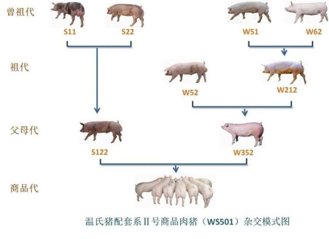 广州多家科研单位荣获国家科技奖