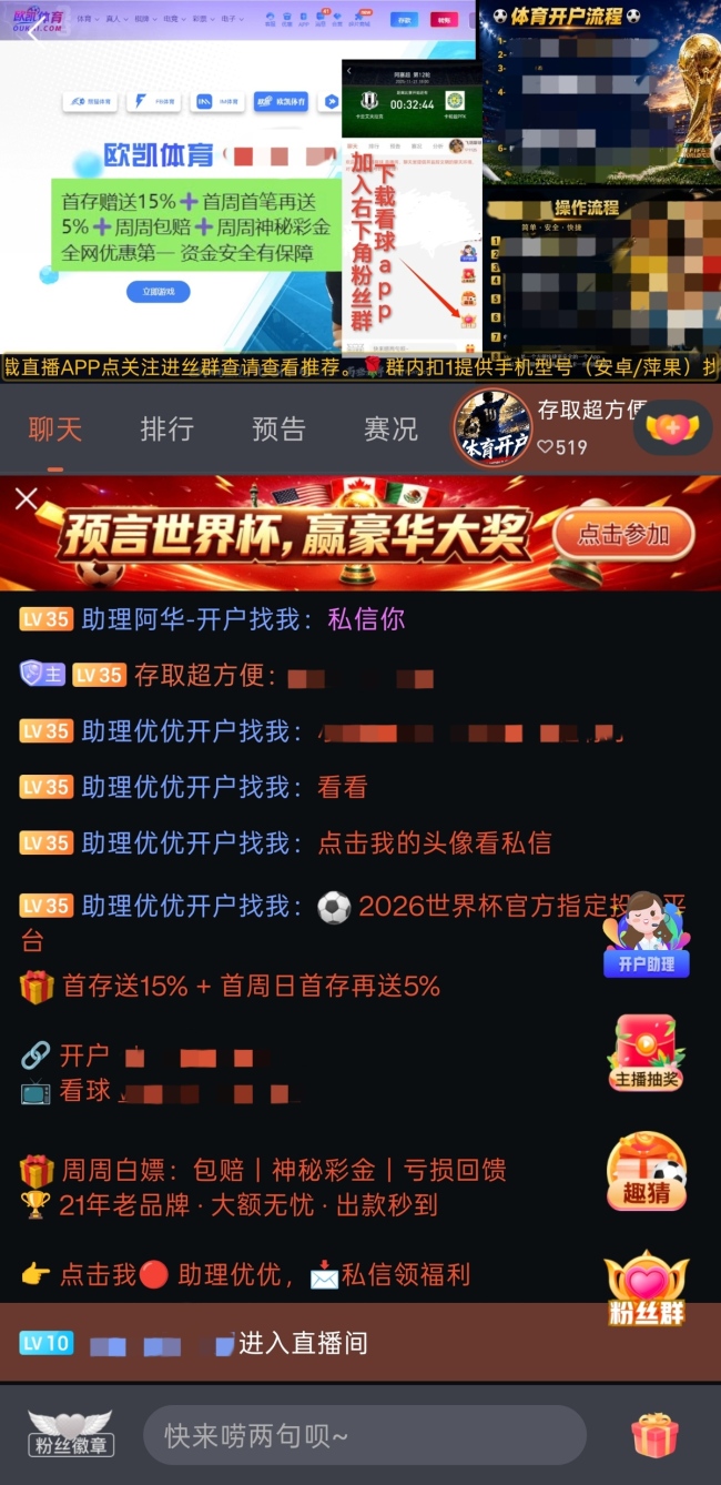 记者卧底3000人世界杯赌球群 揭秘非法赌球骗局