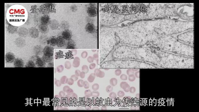 洪涝灾害后要警惕这些传染病 血吸虫病、“鼠尿病”等风险升高