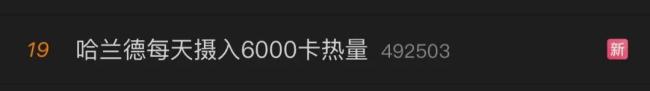 哈兰德粉丝数超挪威总人口 世界杯闪耀助推