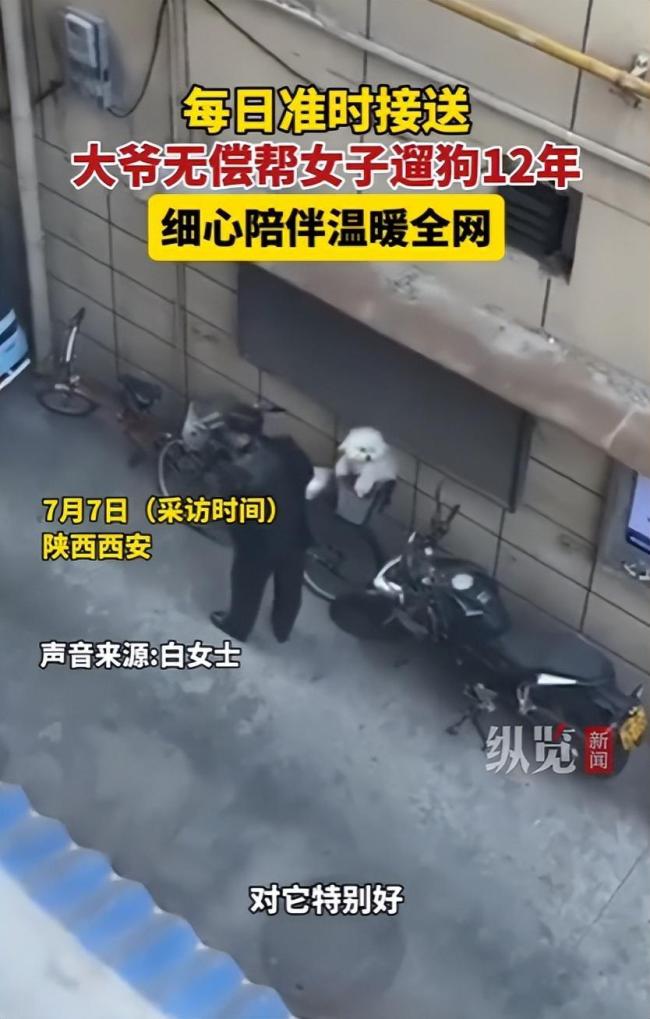 大爷爱犬去世后为陌生女子遛狗