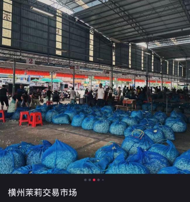 广西横州居民自发捐衣救济受灾群众 茉莉花田受灾牵动人心