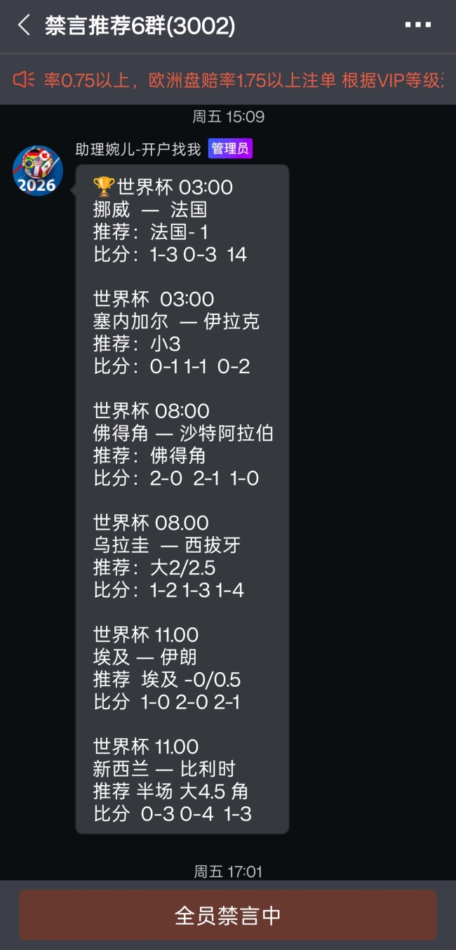 记者卧底3000人世界杯赌球群 揭秘非法赌球骗局