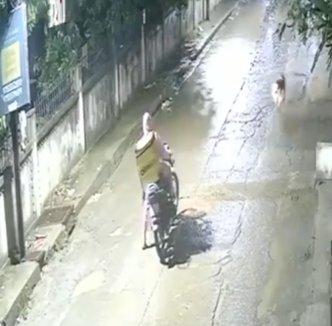 监控：印度一外卖骑手夜间遭豹子袭击