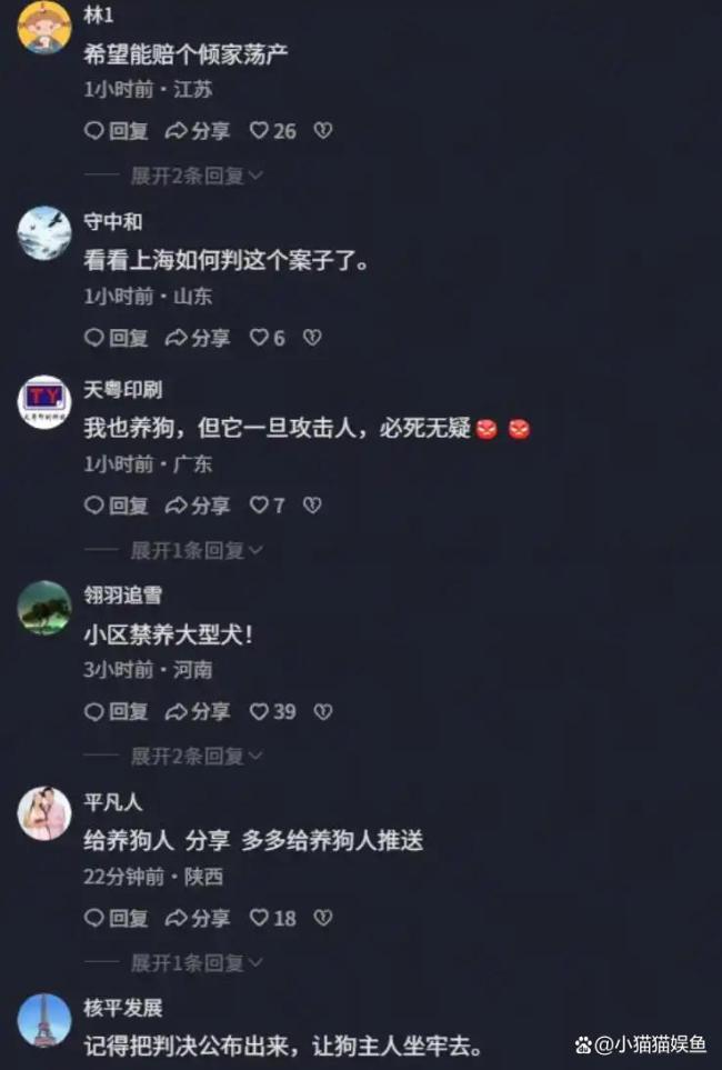 上海一幼童在小区内被狗撕咬 管理漏洞引发热议
