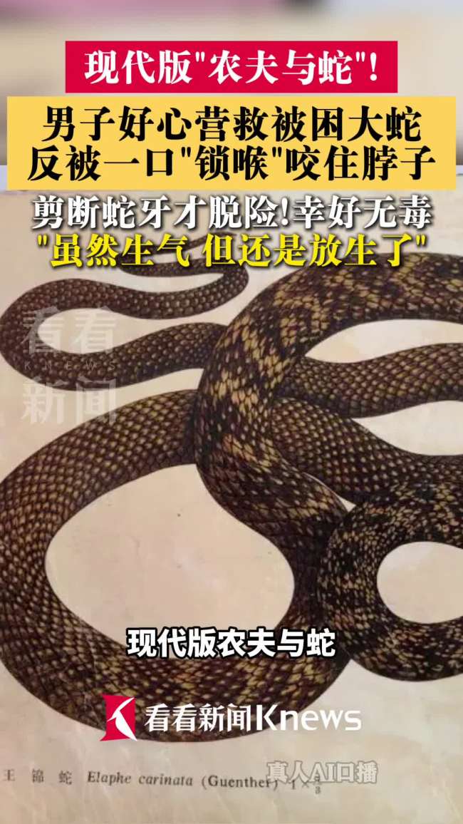 男子救蛇上演现实版“农夫与蛇”