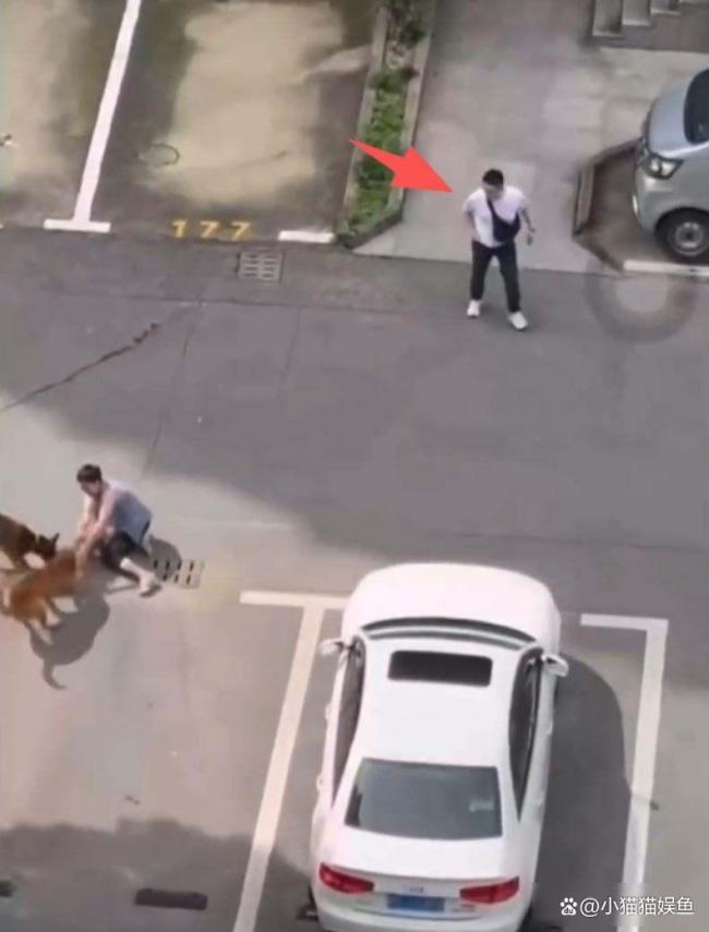 上海一幼童在小区内被狗撕咬 管理漏洞引发热议