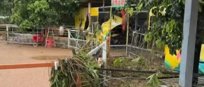 贵港动物园上百只动物被洪水冲走