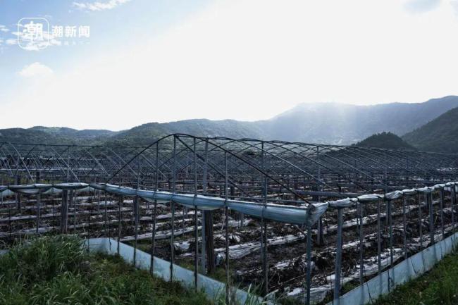 浙江苍南马站隧道变身台风停车场 防台一线紧张备战