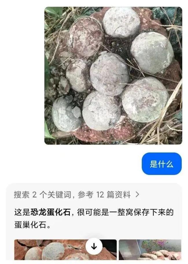 9岁小学生在广州发现恐龙蛋获表扬 科学小侦探引发关注