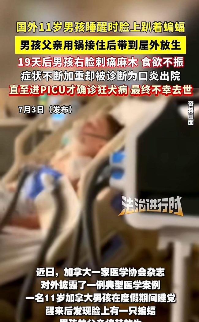 10岁男孩见蝙蝠以为去世妈妈回来了 致命疏忽引发悲剧
