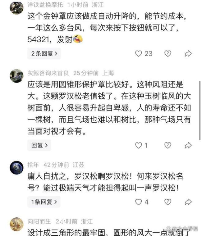 老板给树套“金刚罩”防台风 1200万罗汉松的硬核保护