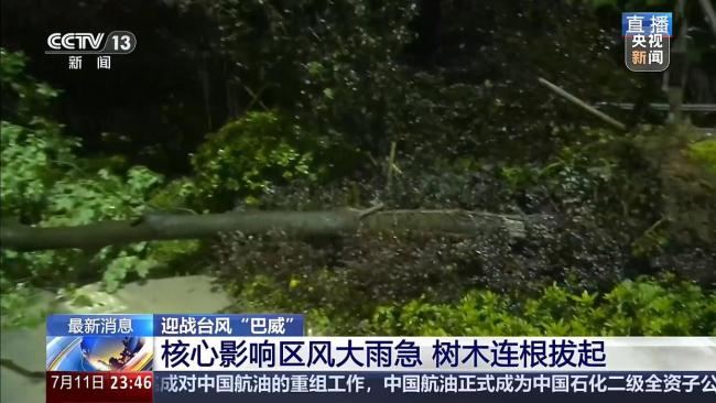 台风登陆十分钟风云骤变 树连根拔起