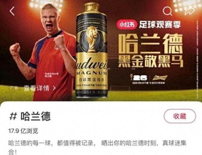 哈兰德让人爱得无法自拔 球场内外皆传奇