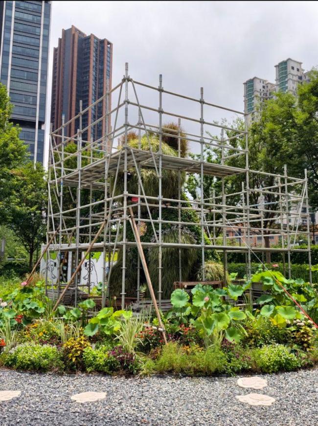 江浙多个大型雕塑遭五花大绑 防台风硬核操作走红网络