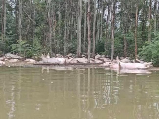 极端天气“引出”巨灾保险 灾后理赔受关注