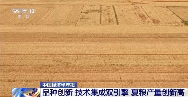 我国夏粮产量创新高 丰收的背后有哪些硬核支撑?