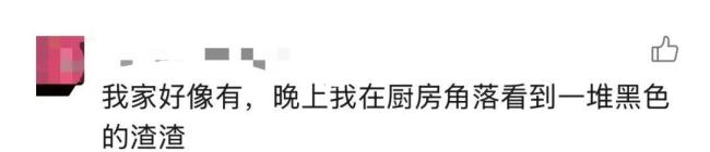 家中长出“黑色小刷子”千万别碰 警惕隐藏的健康威胁