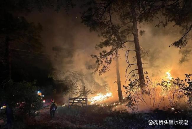 美国山火肆虐引关注,过火面积持续扩张!每年7万起野火太恐怖 数千人被迫撤离家园