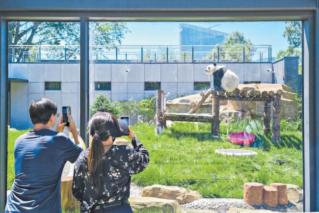 北动熊猫新馆正式开放 国宝入住生态新居
