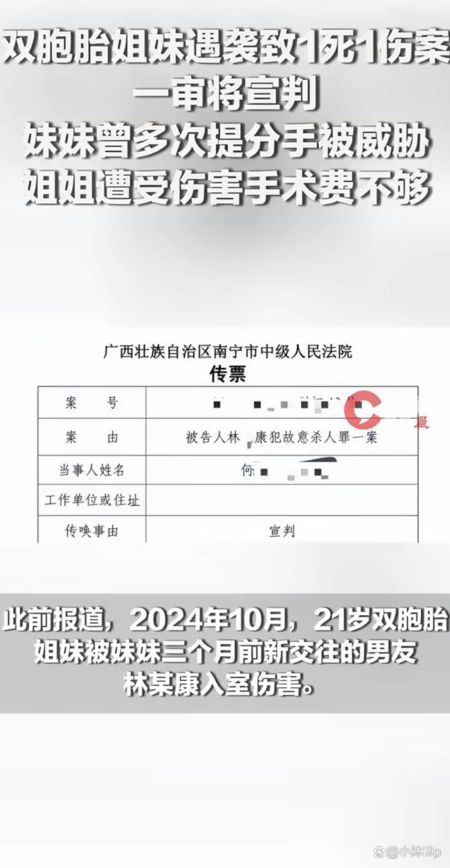 双胞胎姐妹一死一伤案姐姐首发声 期待公正判决