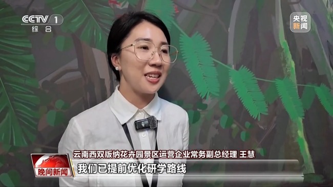 胡同游、体育活动、自然研学 暑期游“热”起来