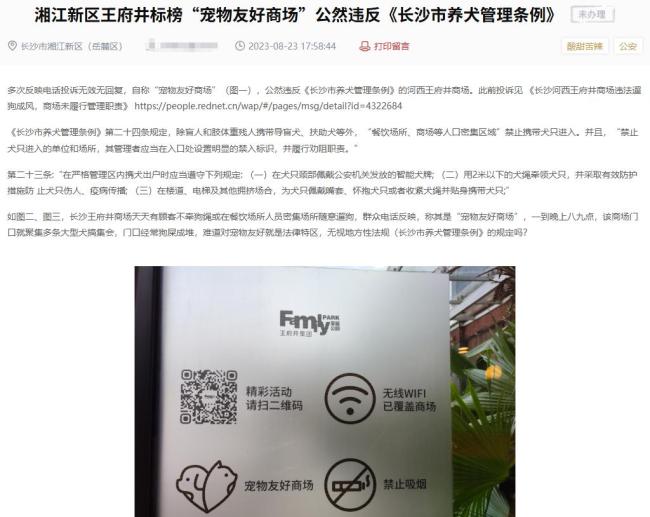 女子遛狗不拴绳被打不构成互殴 商场管理责任何在
