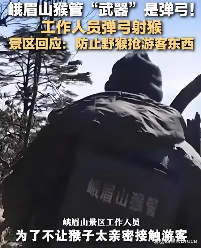峨眉山猴子