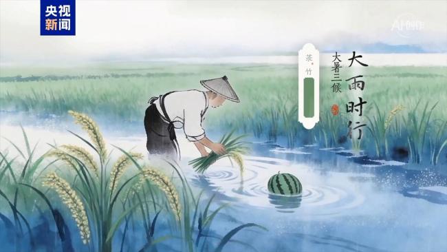 盛极而柔躁中藏静：大暑独有的浪漫