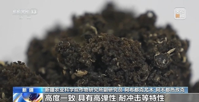 从橡胶草提取合格天然橡胶，已实现量产