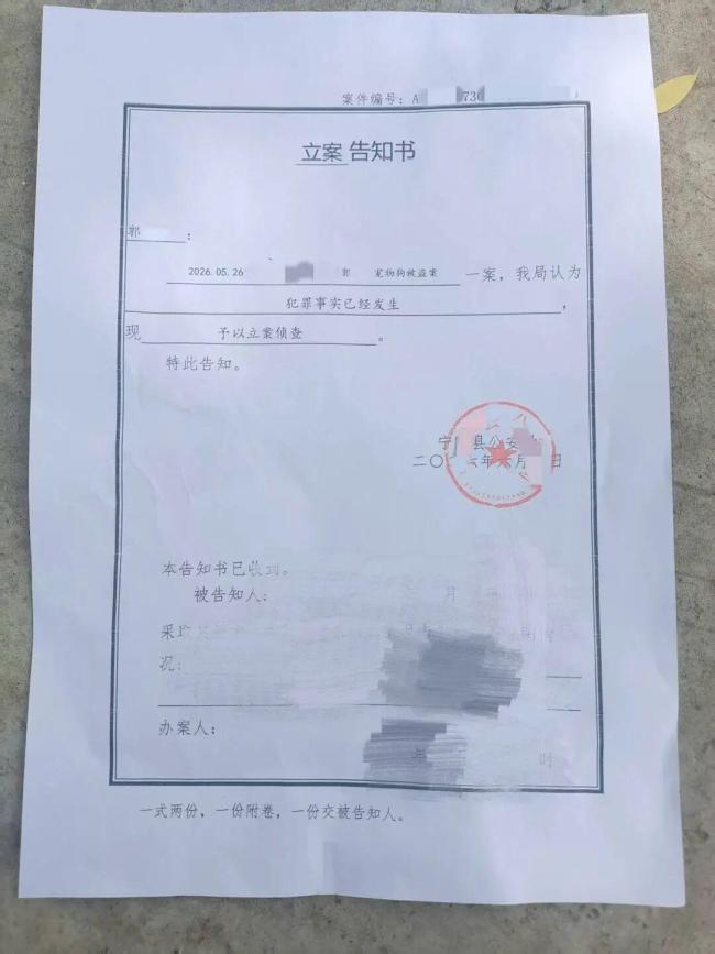 男女盗走网红边牧以180元转卖宰杀 狗主人拟民事诉讼求赔偿
