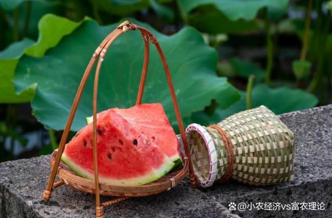 7月23日3时13分迎大暑
