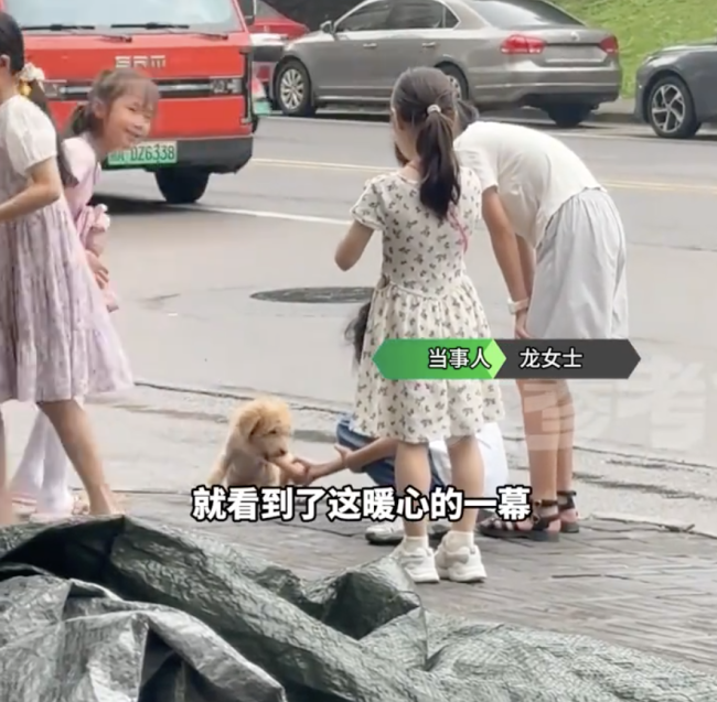 1根香肠掰两半一半饱腹一半陪伴
