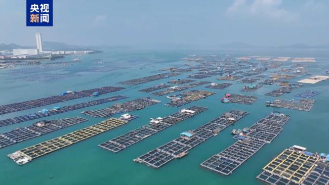 广东福建多地停工停运停航 台风“红霞”逼近华南沿海