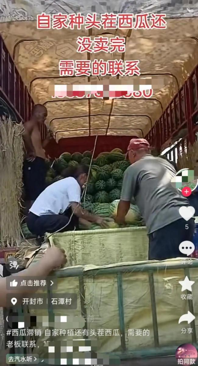 河南瓜农控诉有网红博流量低价收瓜 爱心接力助销滞瓜