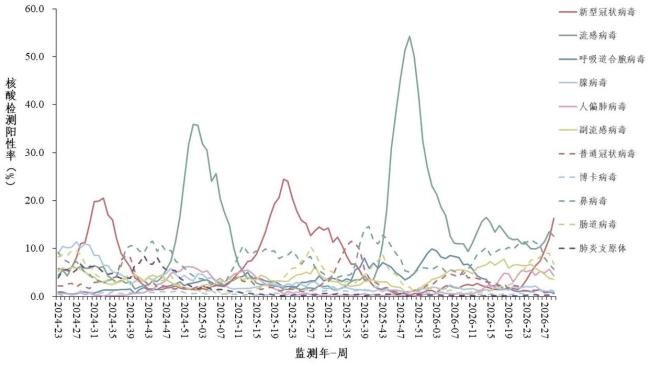 新冠疫情升至中流行水平 专家建议 确诊后尽早用药