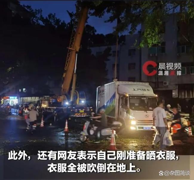台风红霞第一批受害者已经出现 视觉与心理冲击引发热议