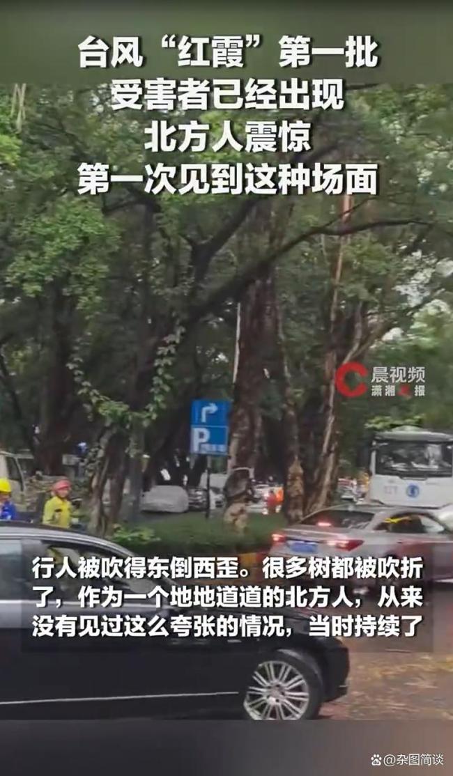 台风红霞第一批受害者已经出现 视觉与心理冲击引发热议