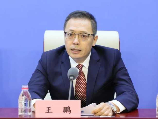 王鹏任中国互联网络信息中心主任
