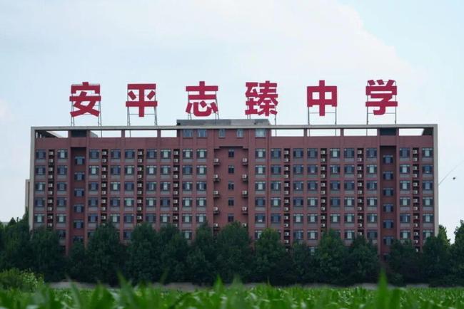 官方通报衡水公职人员被举报 调查组已介入核查