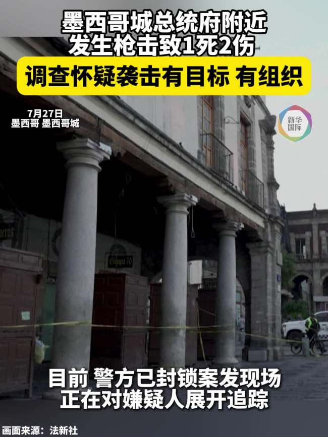墨西哥总统视察时两只狗在旁边打架