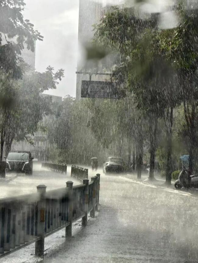 杭州暴雨中出现壮观雨幡 罕见景观引关注