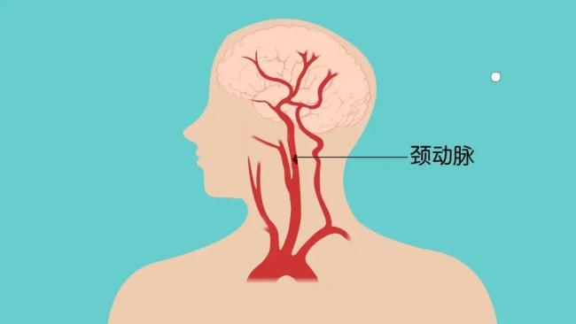 一个伤害脑血管的动作，你每天都在做