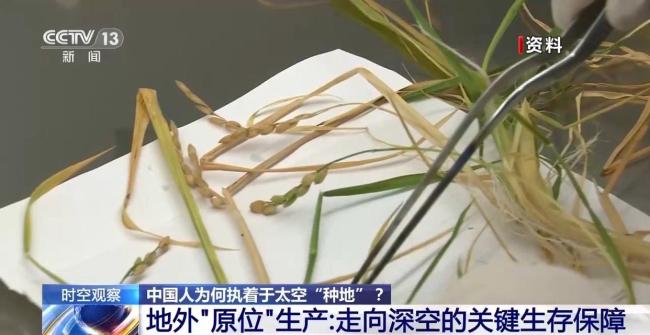 中国人为何执着于太空“种地” 探索深空的生存保障