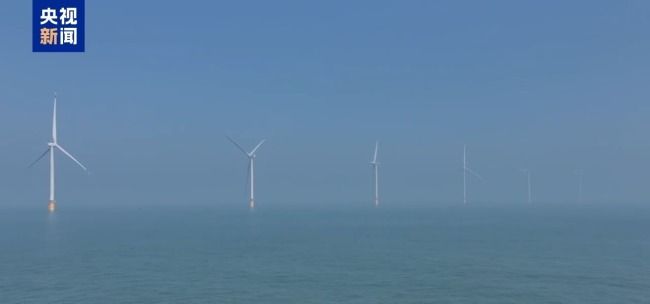 浙江温州:东海大风“刮”出千亿集群