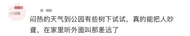 被知了吵到耳鸣耳闷要及时就医，医生紧急提醒