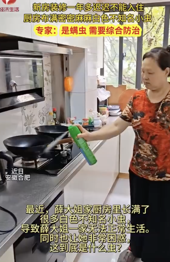 合肥一新房厨房布满螨虫