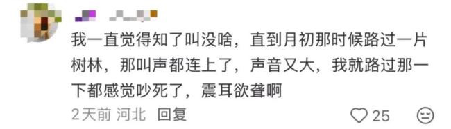 被知了吵到耳鸣耳闷要及时就医，医生紧急提醒