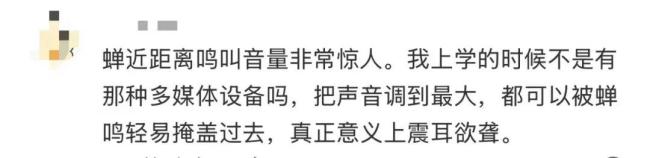 多人因蝉鸣听力受损 高温加剧蝉鸣影响