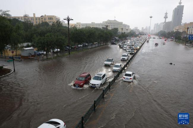 哈尔滨暴雨多地积水 城市交通受影响